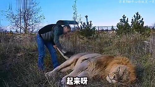 搞笑配音森林之子,搞笑配音的奇幻冒险之旅